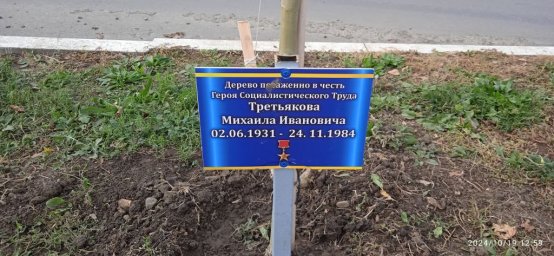 Дерево в честь героя социалистического труда Третьяков М.И.