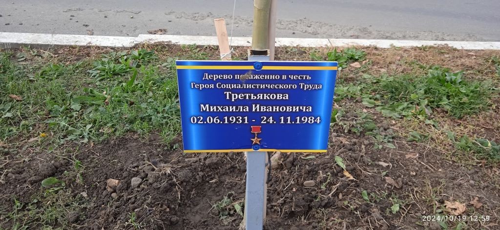 Дерево в честь героя социалистического труда Третьяков М.И.