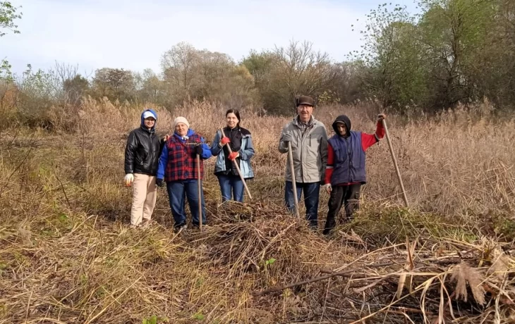 Субботник в посёлке Дачи