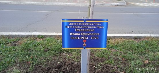 Дерево в честь героя социалистического труда Степаненко И.Е.