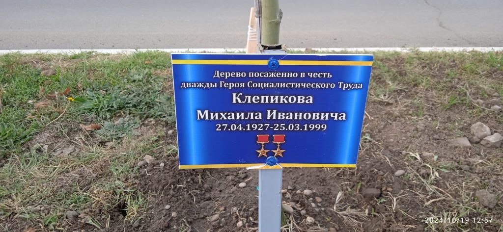 Дерево в честь героя социалистического труда Клепиков М.И.